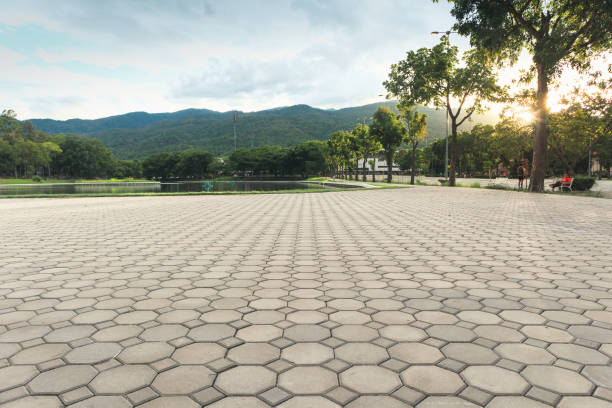 Best Driveway Paving Contractor  in Telford, TN