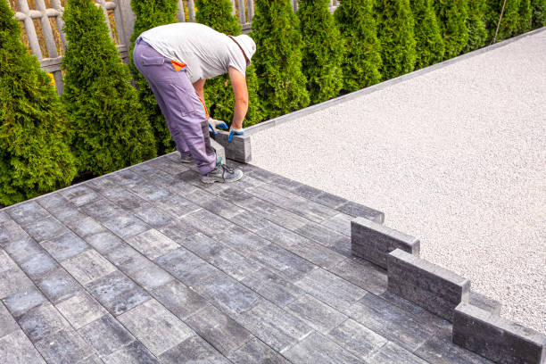 Best Professional Driveway Pavers  in Telford, TN